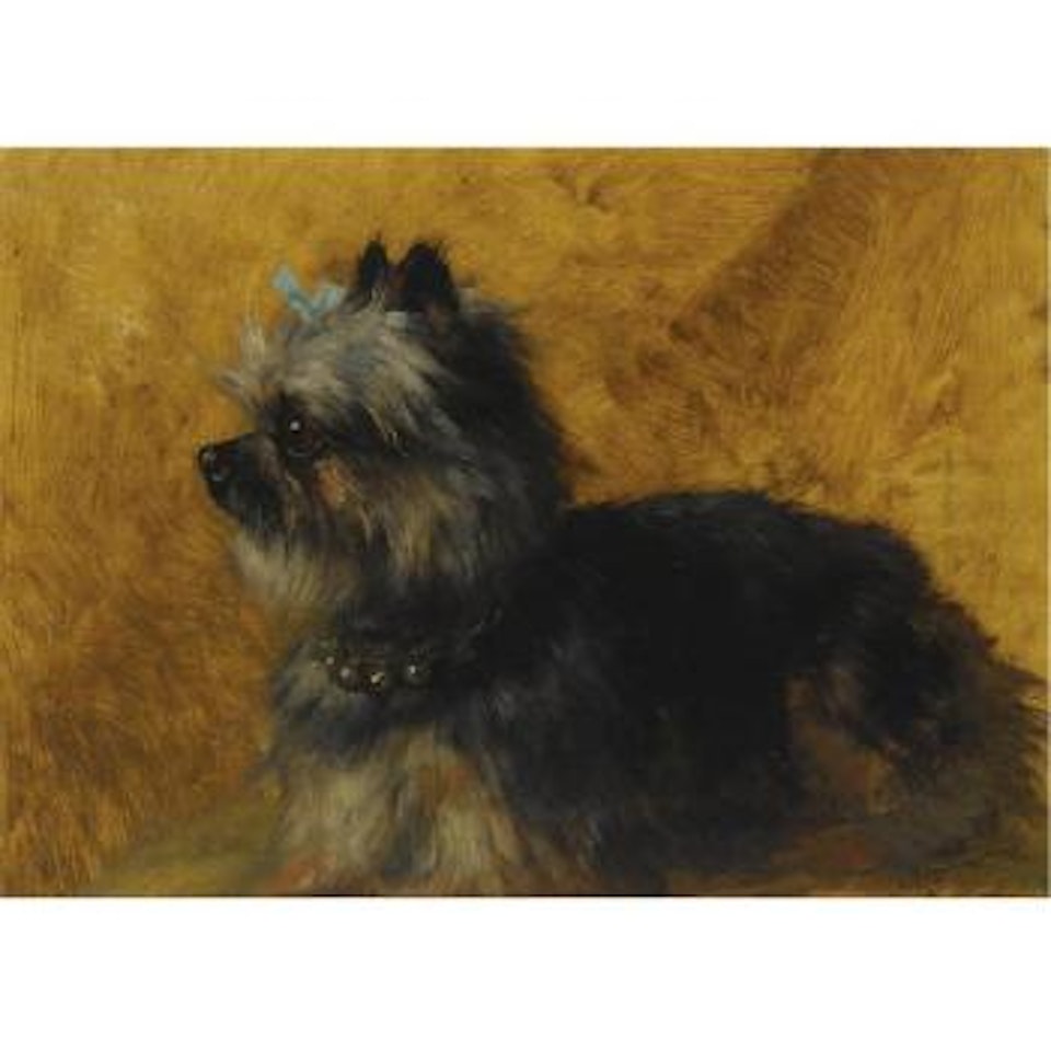 Yorkshire terrier by Henriette Ronner-Knip
