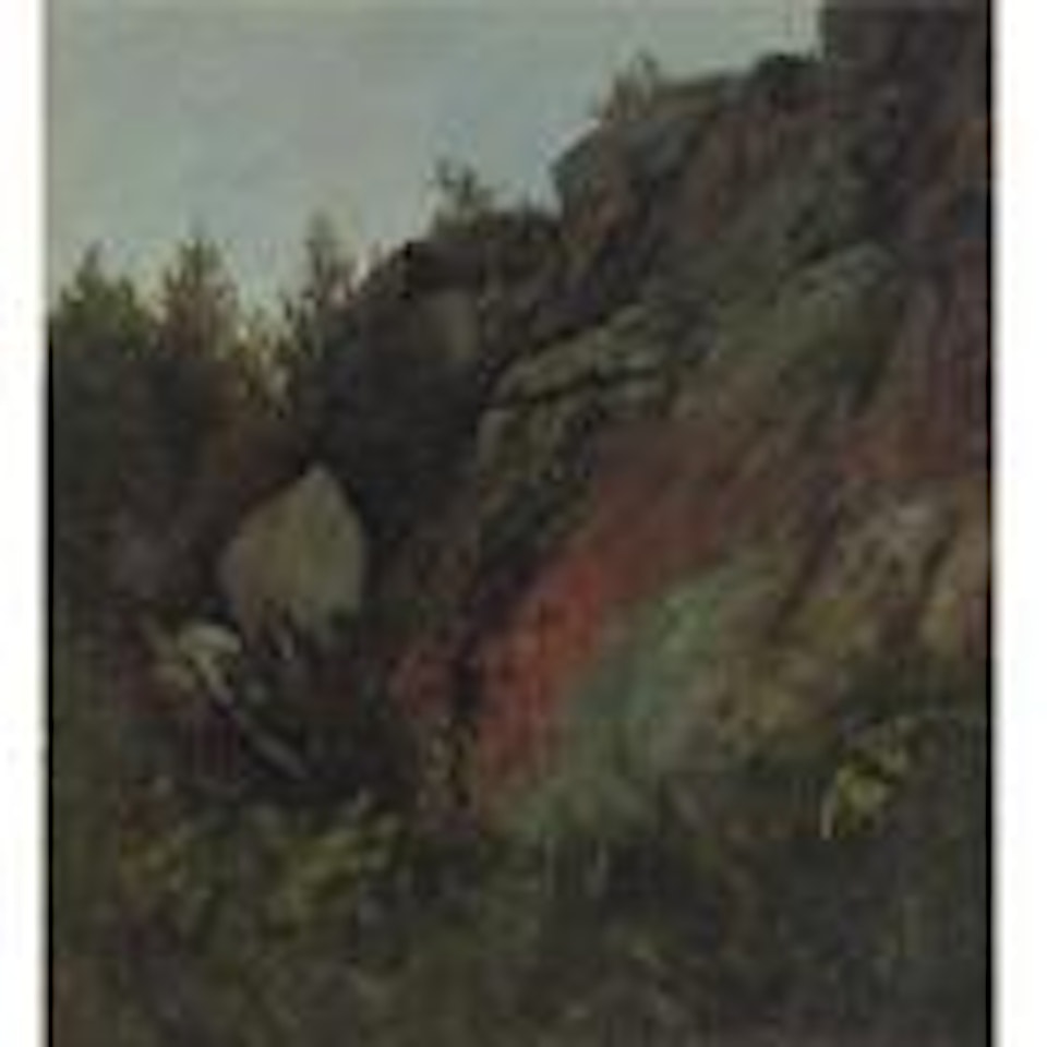 Trees, rocks and moss by Albert Bierstadt