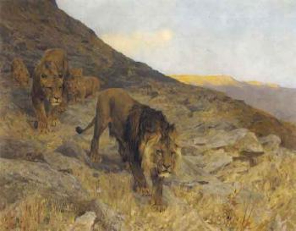 Family of lions in a rocky landscape by Arthur Wardle