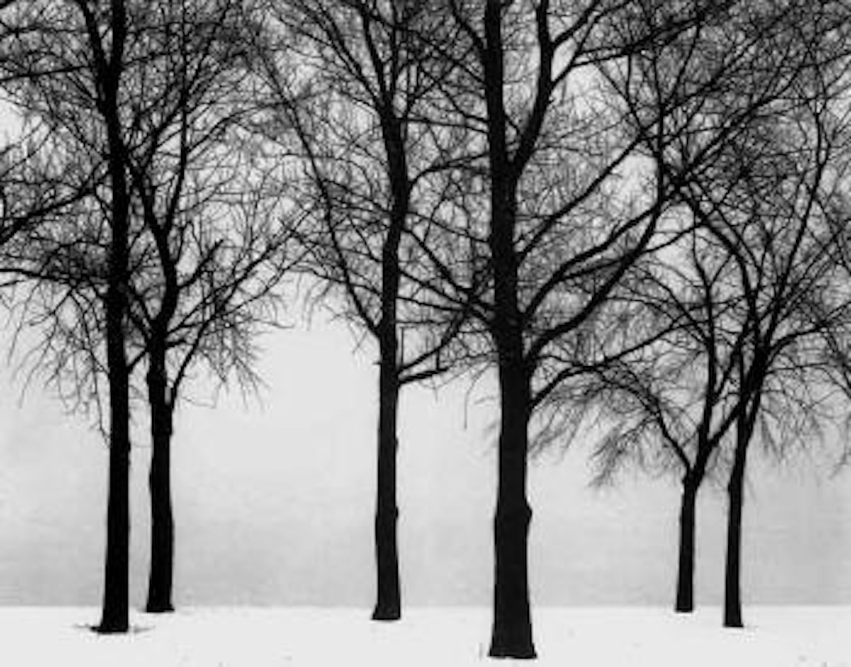 Chicago by Harry Callahan