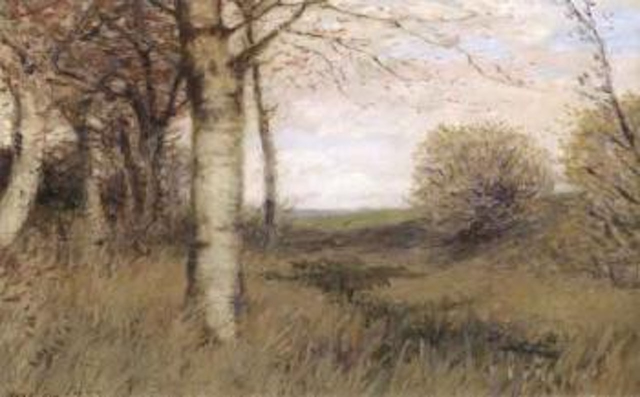 Early spring by Hans am Ende