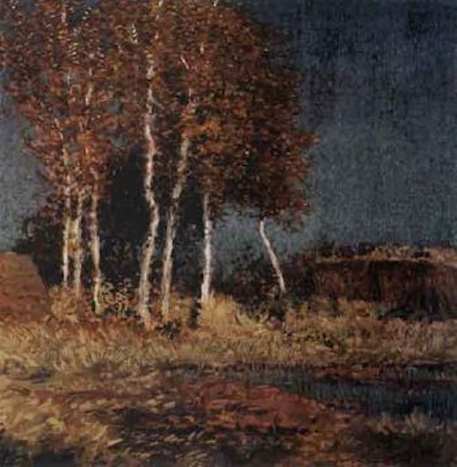 Moorland by Hans am Ende