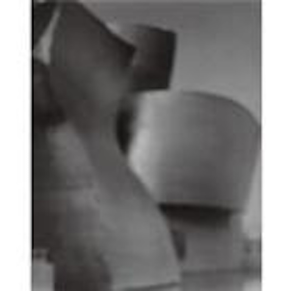 Guggenheim Bilbao - Frank Gehry by Hiroshi Sugimoto