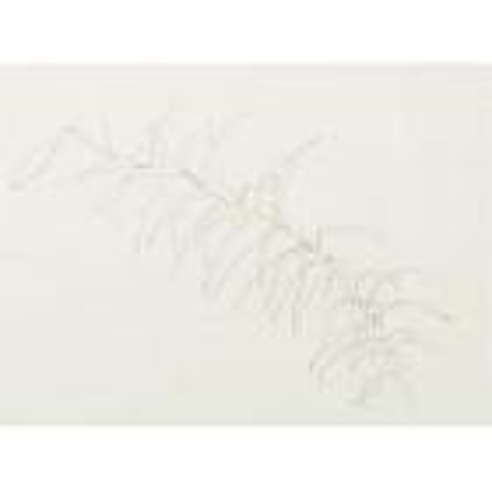 Lily by Ellsworth Kelly