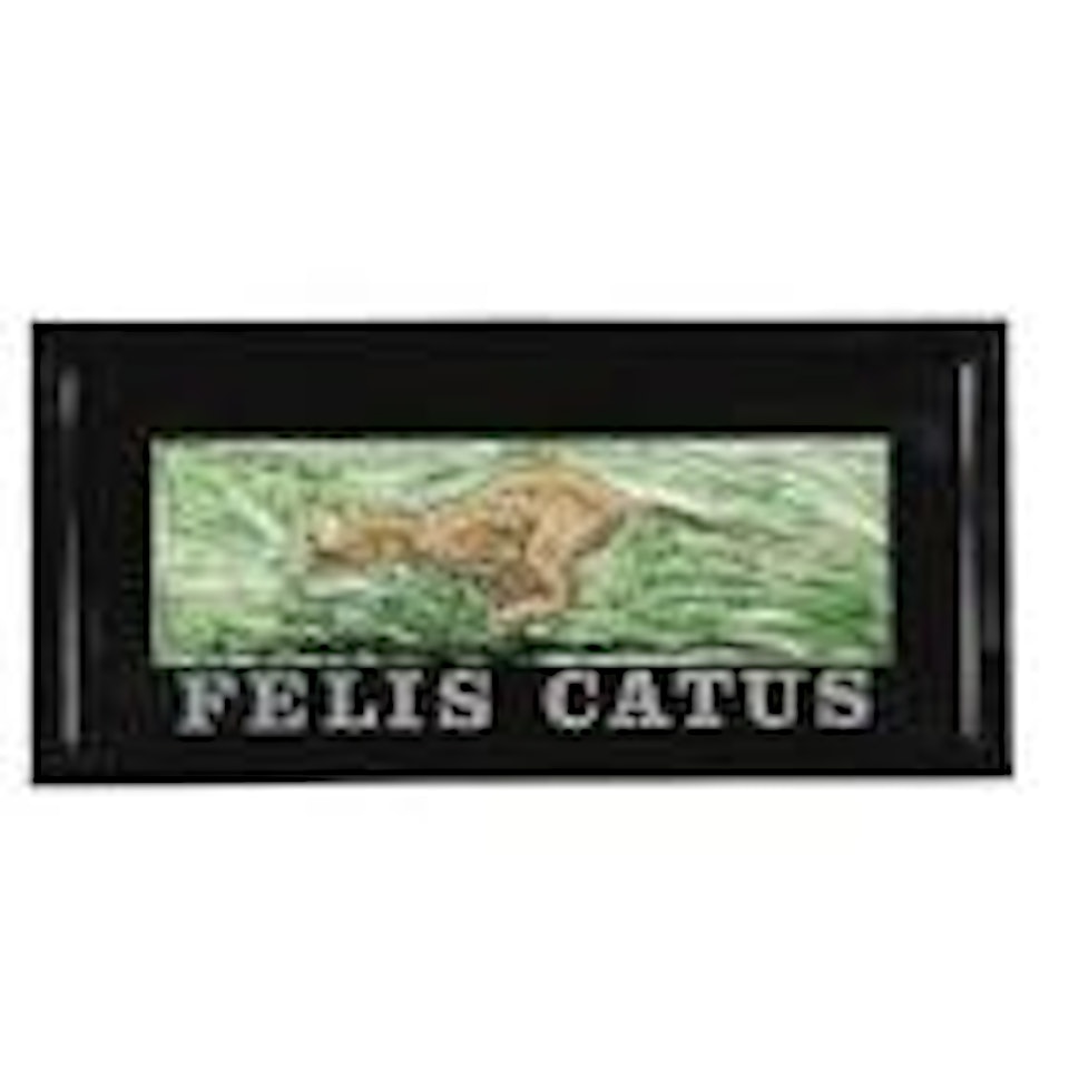 Felis Catus by Neil Jenney