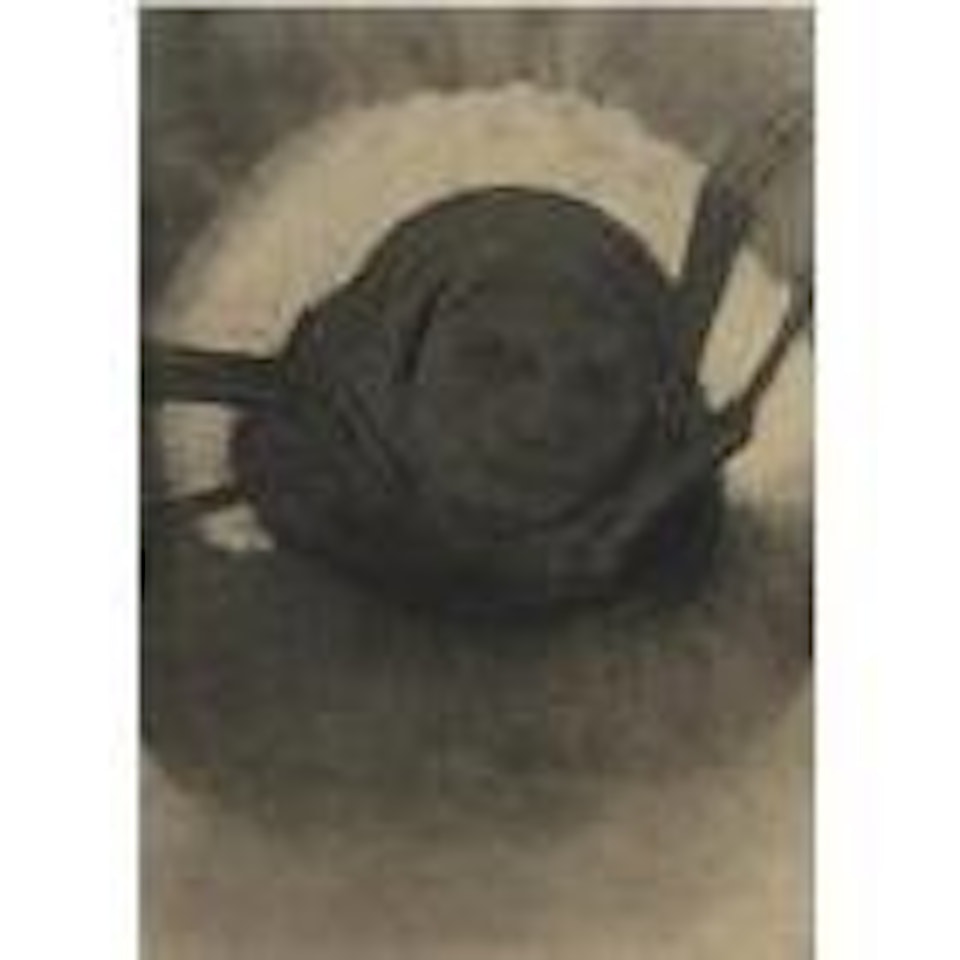 L'Araignee by Odilon Redon