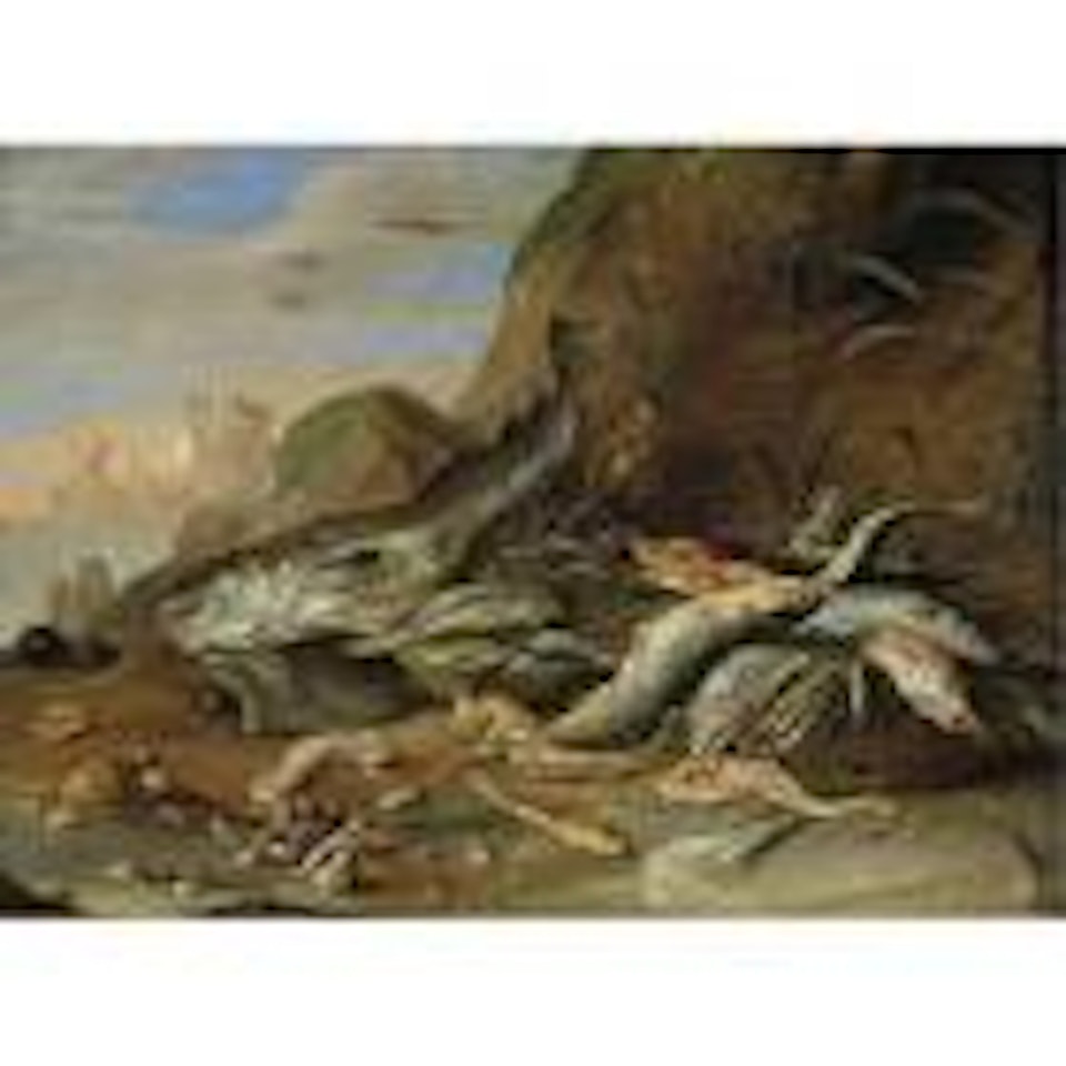 A seashore with a still life of fish, crustaceans and other sea creatures by Jan Van Kessel The Elder
