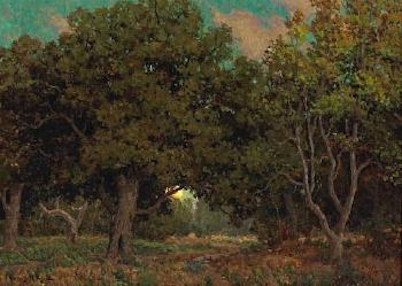 Sunset through the Trees by Granville Redmond