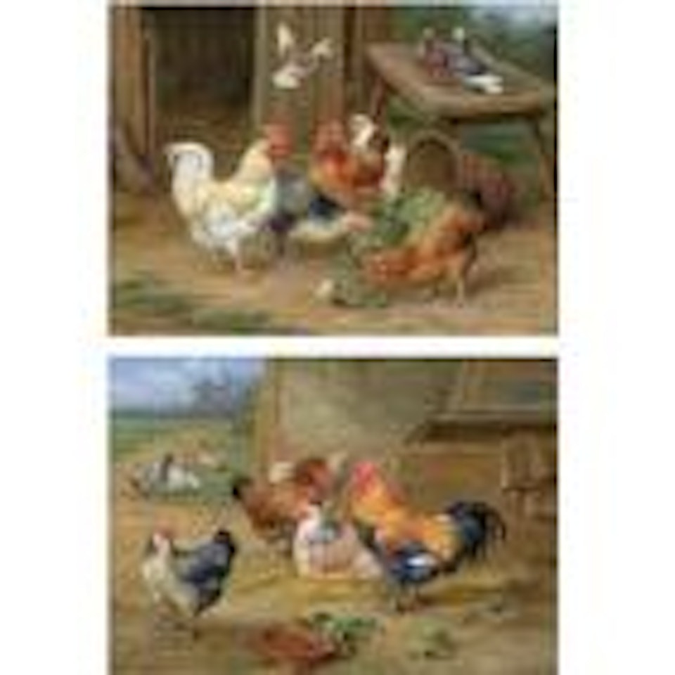 The pecking order. King of the roost by Edgar Hunt