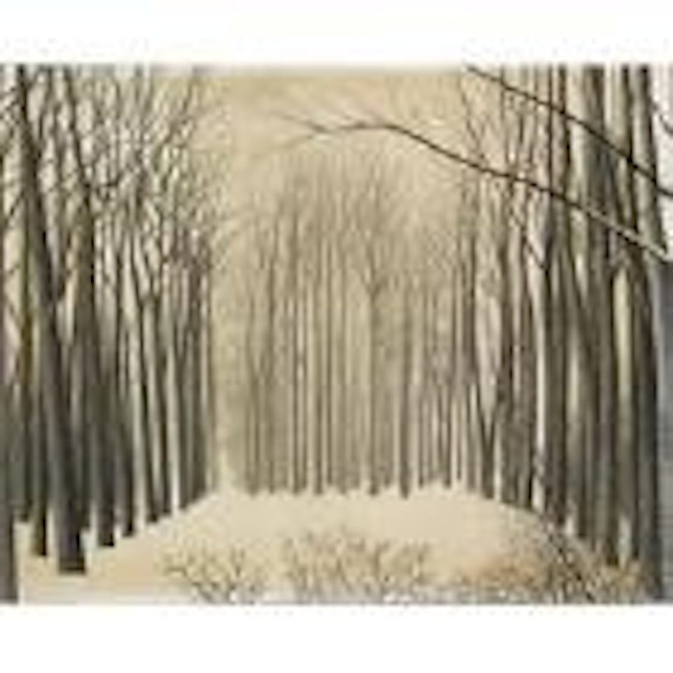 Effets de Neige Aux Arbres by Léon Spilliaert