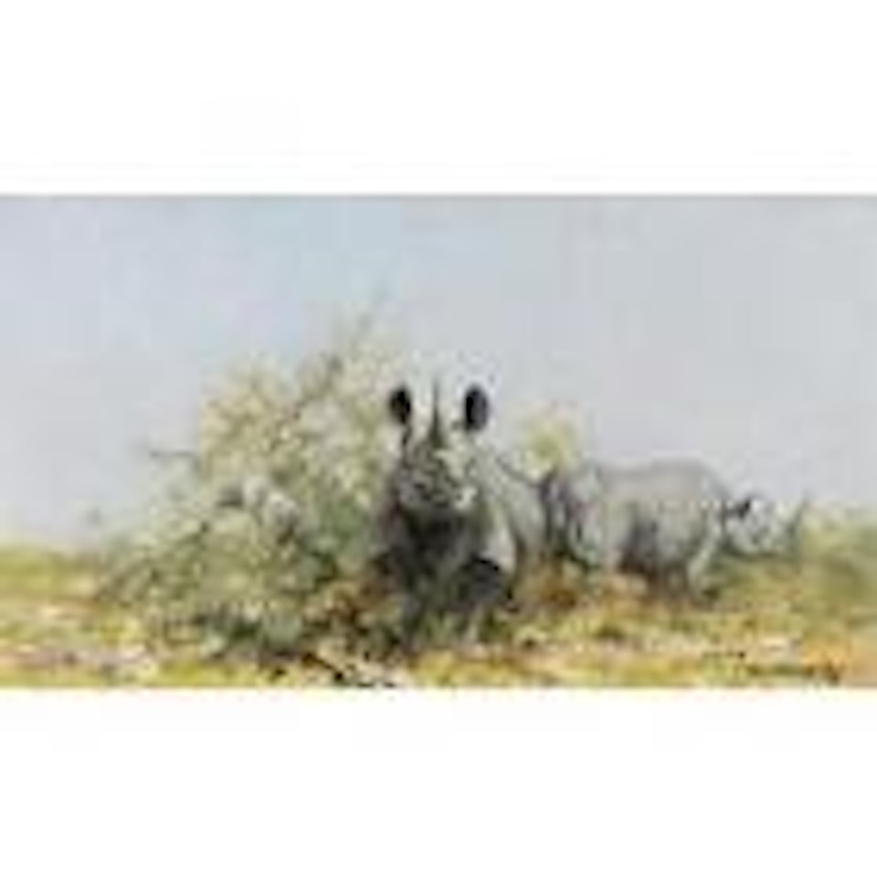 A Pair of Rhinoceri by David Shepherd