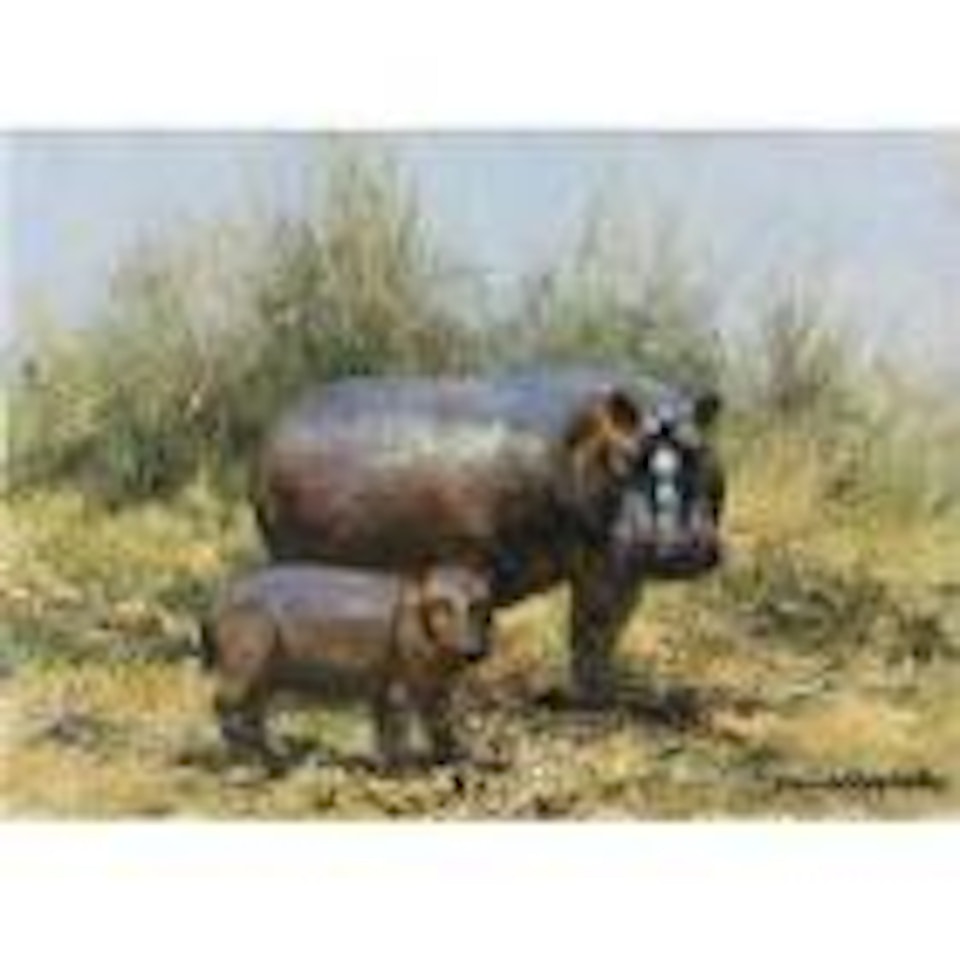 A Mother Hippo and Her Young by David Shepherd