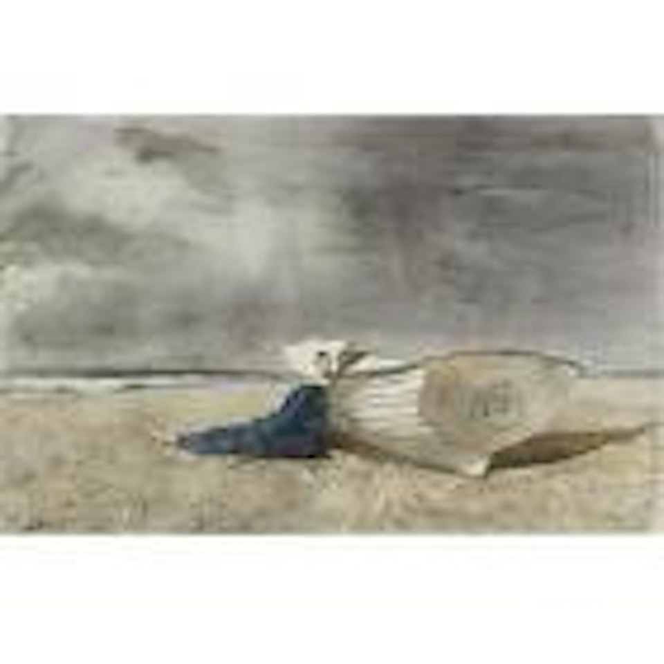 Cape May by Andrew Wyeth