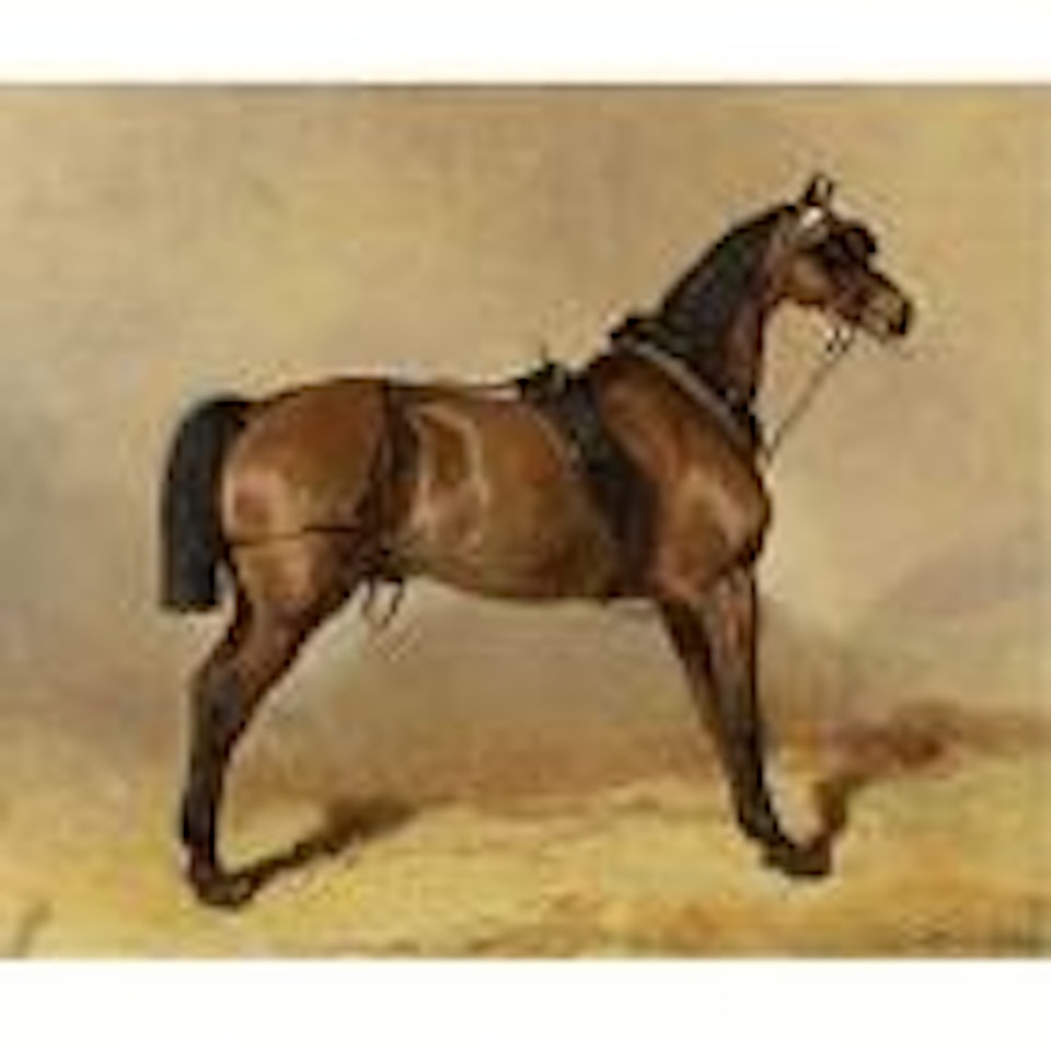 Cheval de Trait by Alfred de Dreux