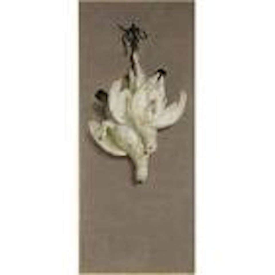 A Still Life of a Brace of Winter Grouse Suspended from a Nail by Jean-Baptiste Oudry
