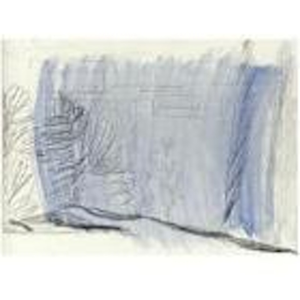 Landscape Study with Plants and Houses by Ben Nicholson, O.M.