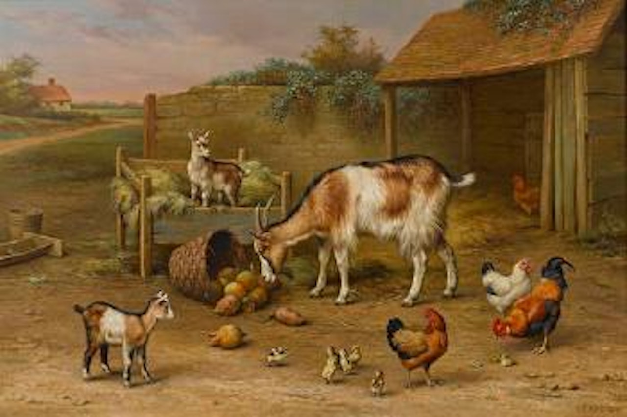 Goats, chickens and chicks in a farmyard by Edgar Hunt
