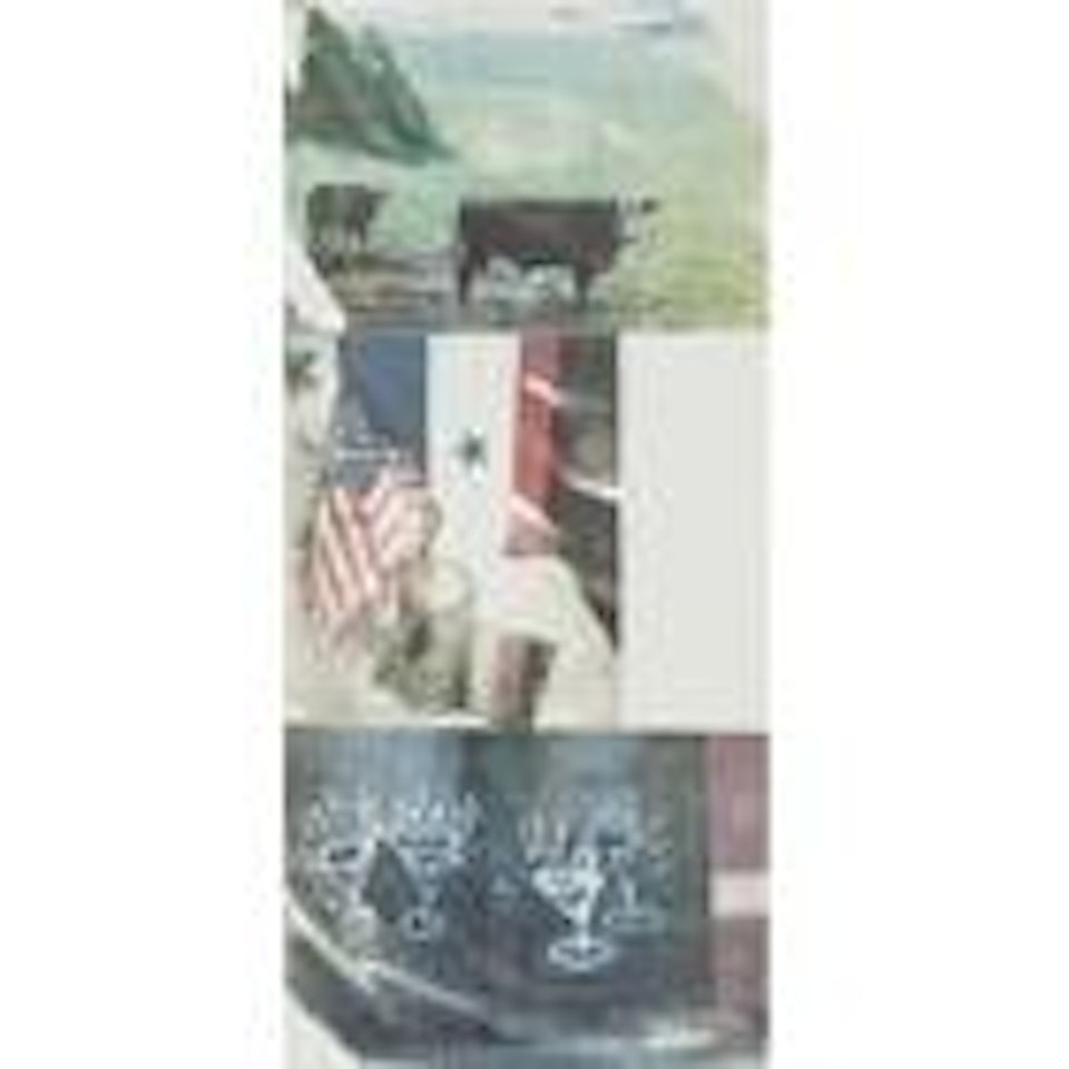 Witness by Robert Rauschenberg