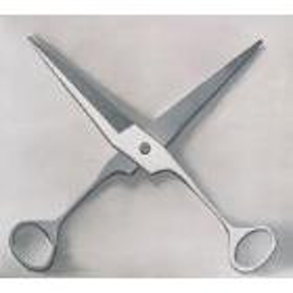 White Open Scissors by Mao Xuhui