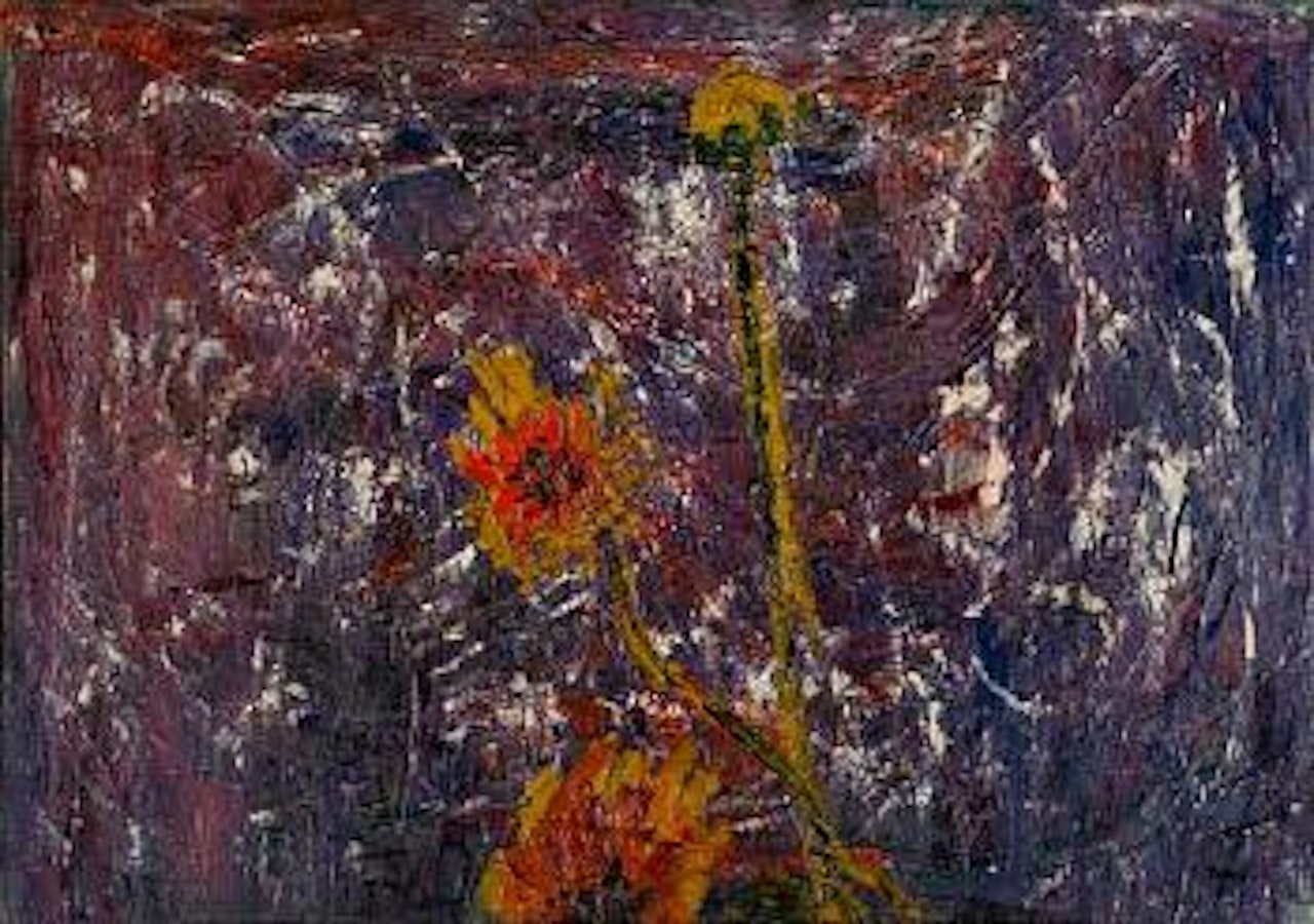 Nénuphares by Thanos Tsingos