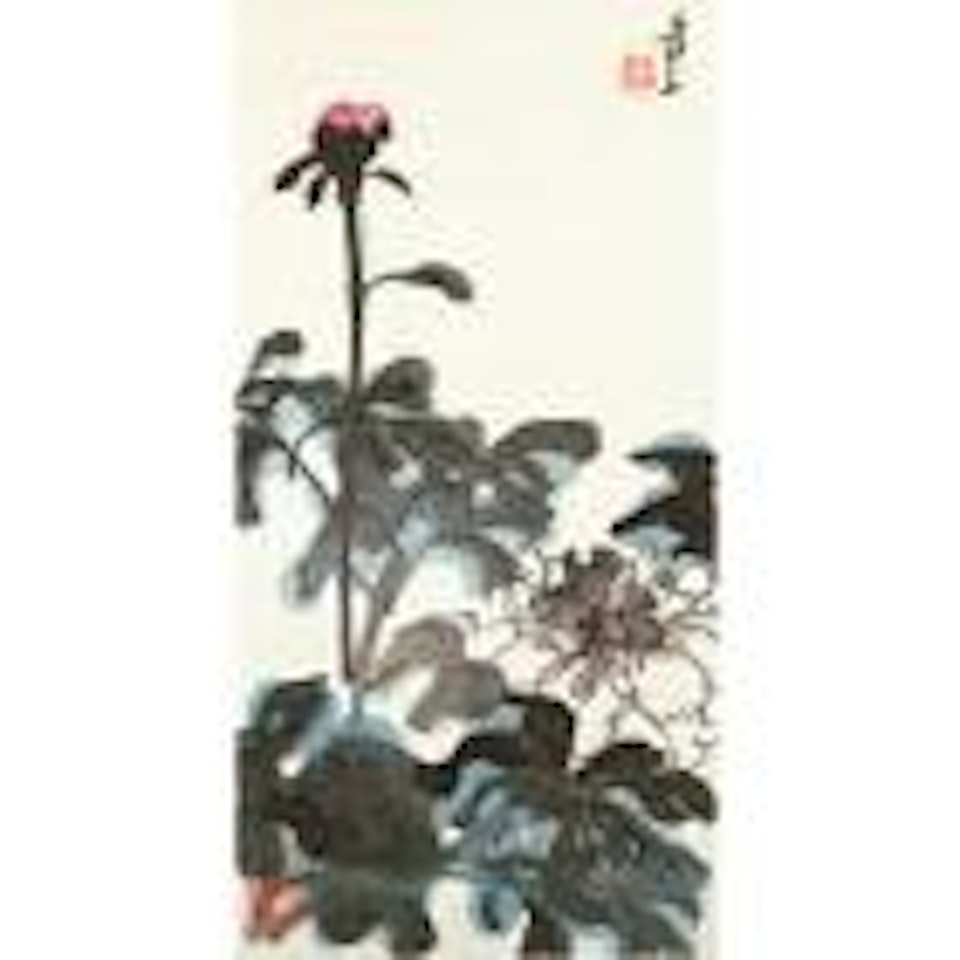 Peony by Zhang Daqian