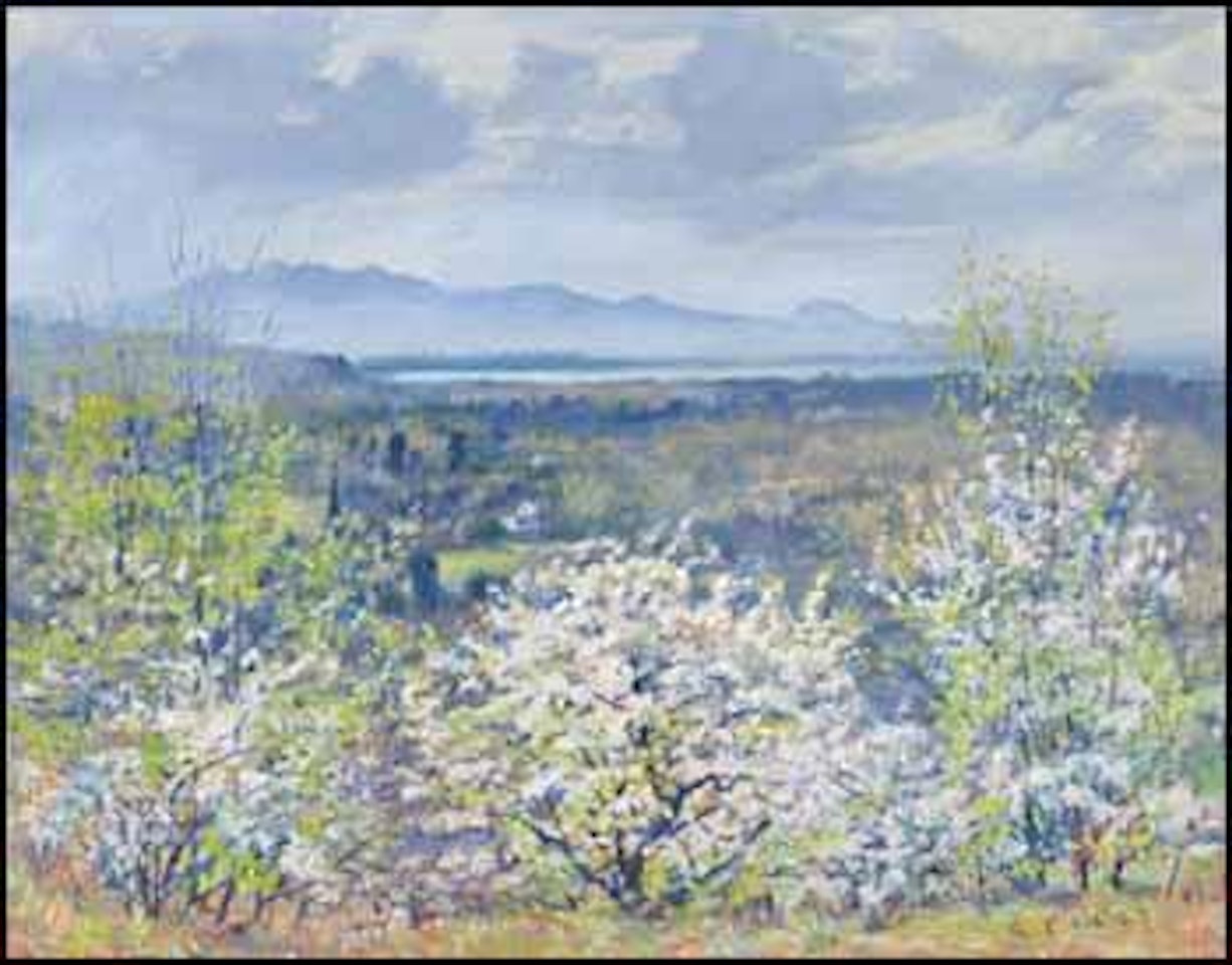 Spring, Flowering Trees, Knowlton, PQ by Robert Pilot