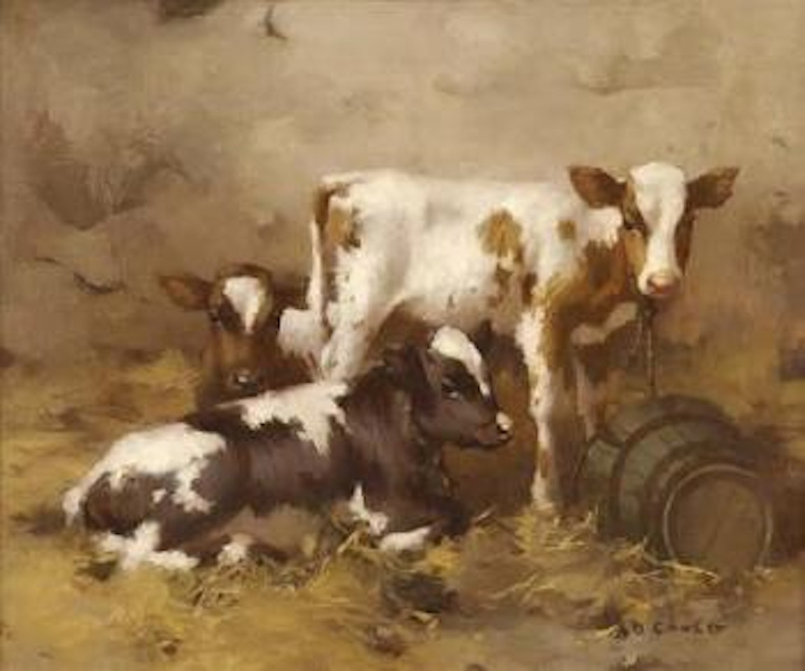 Calves in a byre by David Gauld