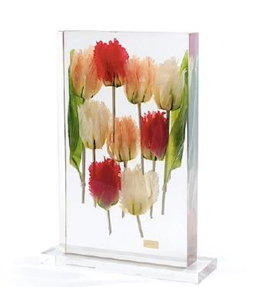 Tulipes by Arman