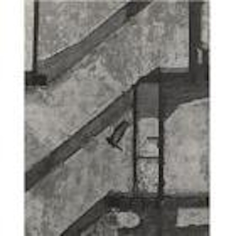 Landing pigeon, New York by André Kertész