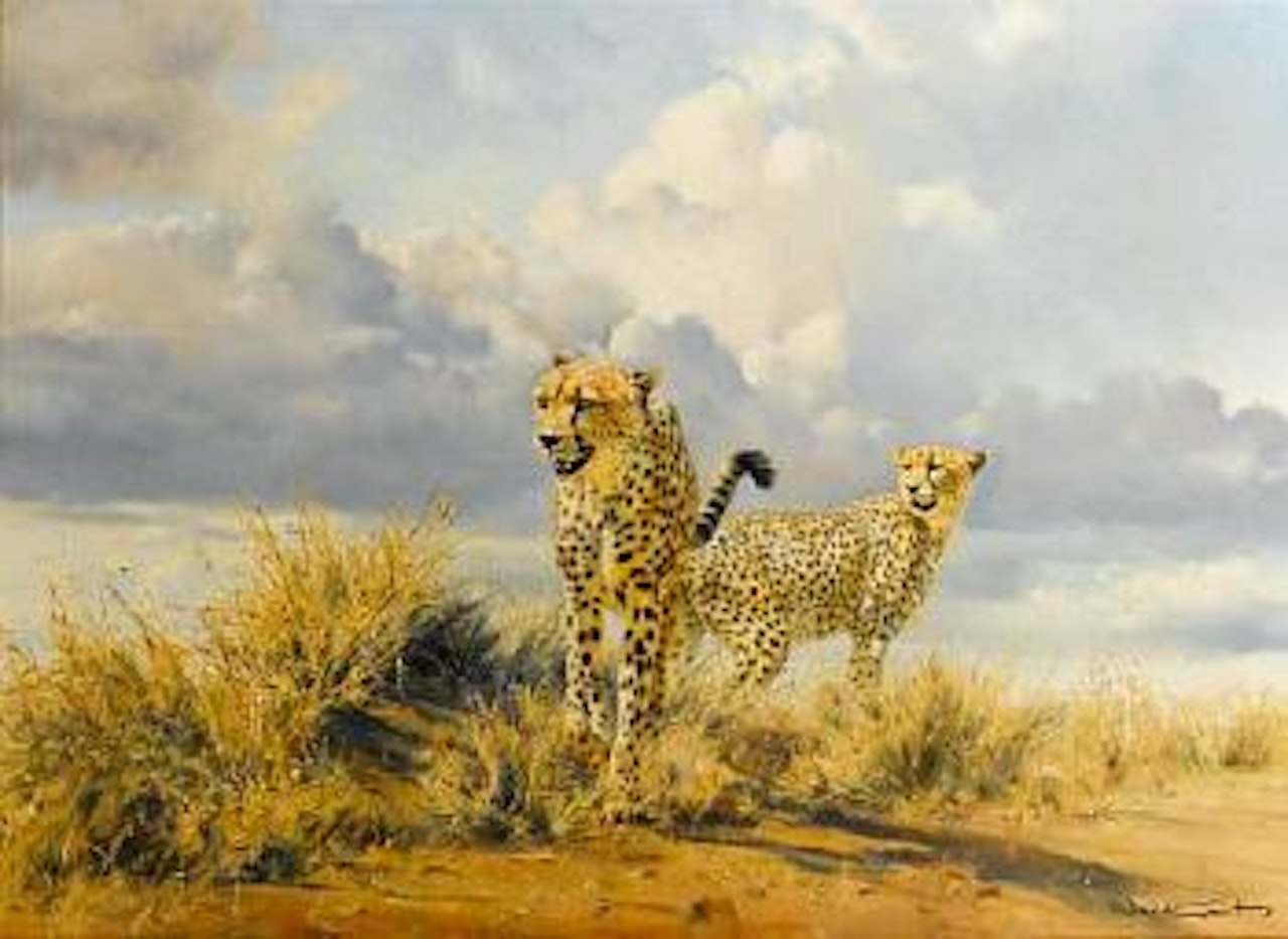 Two Cheetahs by Donald Grant