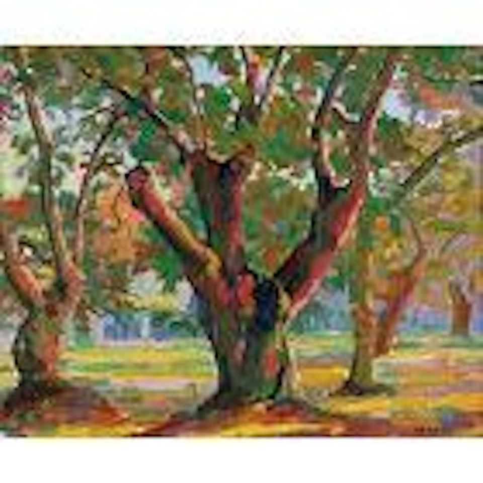 Arbres by Auguste Herbin