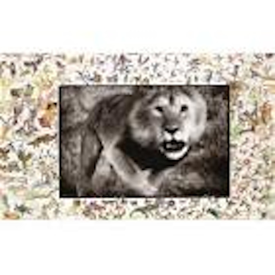 Loliondo charge, for the end of the game by Peter Beard