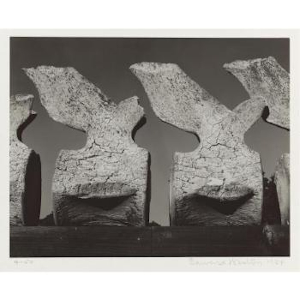 Whale vertebrae by Edward Weston