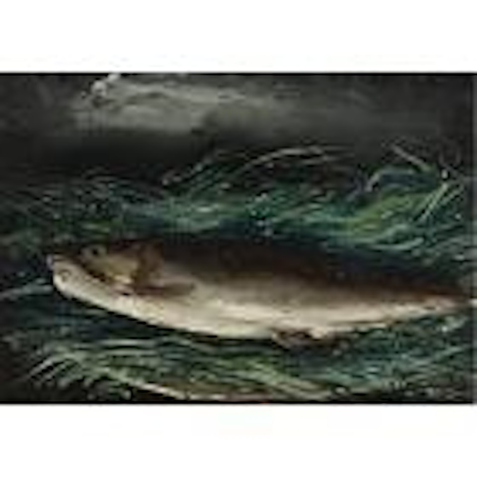 Truite dur L'Herbe by Maurice de Vlaminck