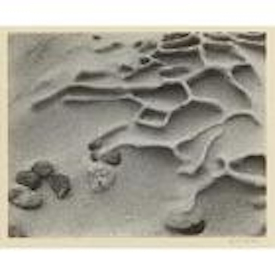 Sandstone Erosion, Point Lobos by Edward Weston