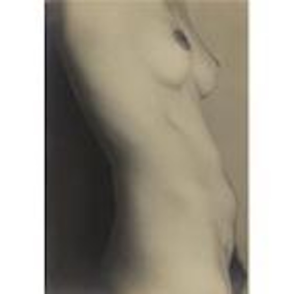 Nude (Miriam Lerner, Vertical Torso) by Edward Weston