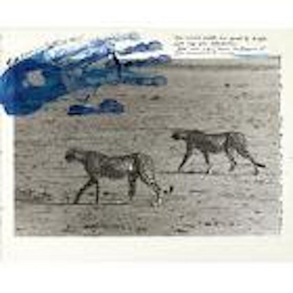 Hunting Cheetahs by Peter Beard