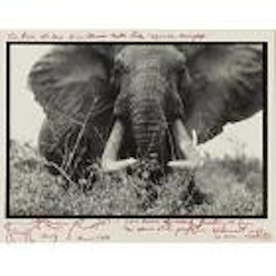Tiva river 150lber from Tsavo Natl. Park 'Before the drought' by Peter Beard