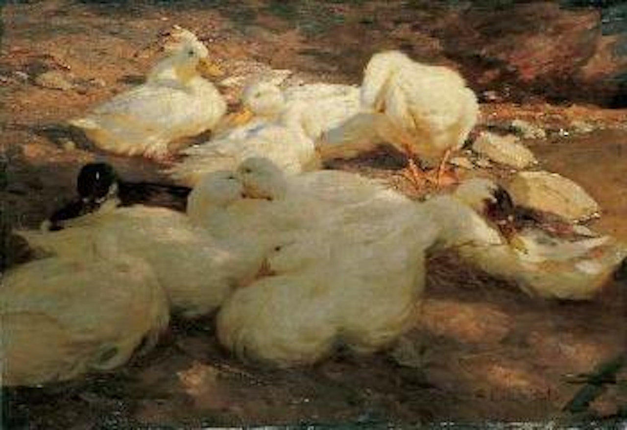 Enten am Teich by Alexander Koester