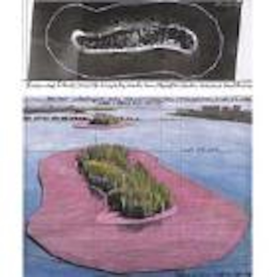 Surrounded Islands (Project for Biscayne Bay, Greater Miami, Florida) by Christo