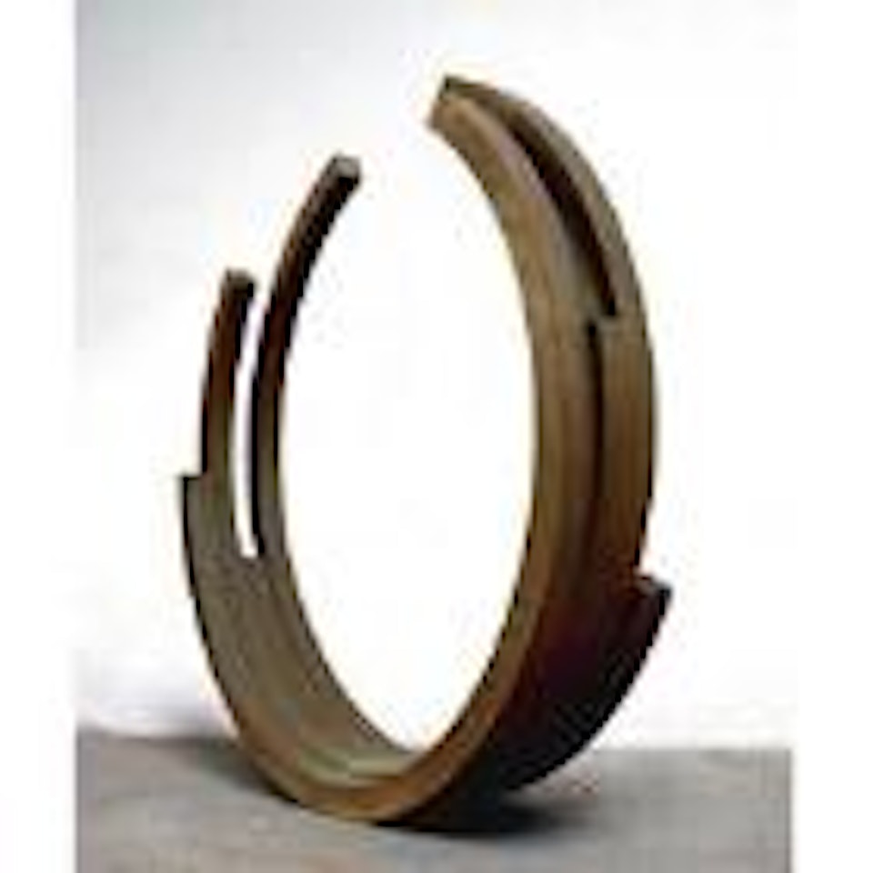 226.5 o. arc x 4 by Bernar Venet