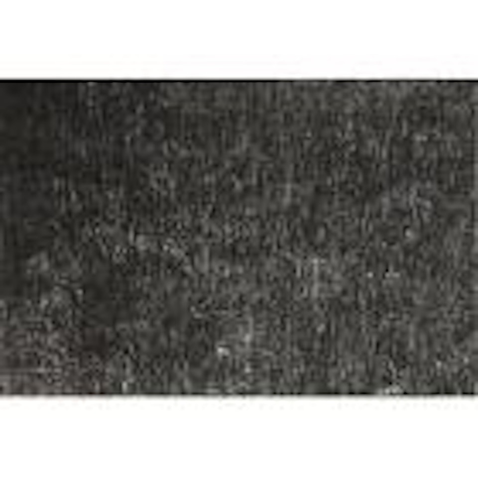 Grasses, Wisconson by Harry Callahan