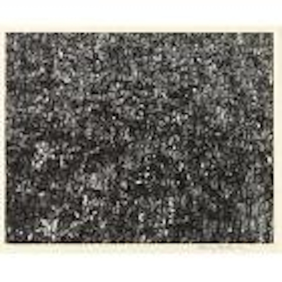 Port Huron, Michigan by Harry Callahan