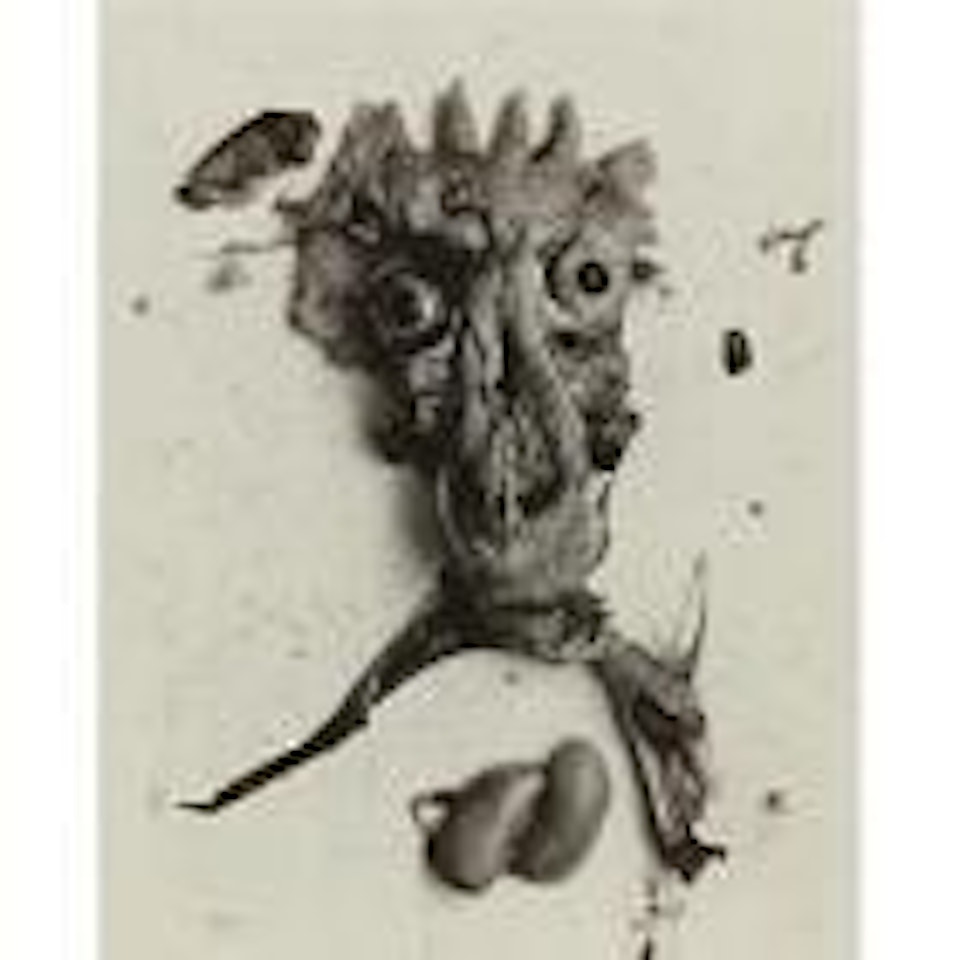 Negative #68 by Frederick Sommer