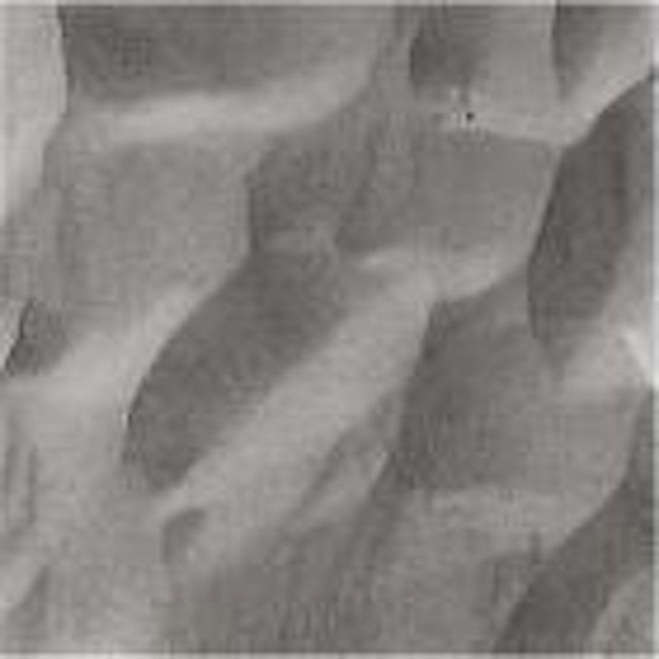 Chicago (Study of sand) by Harry Callahan