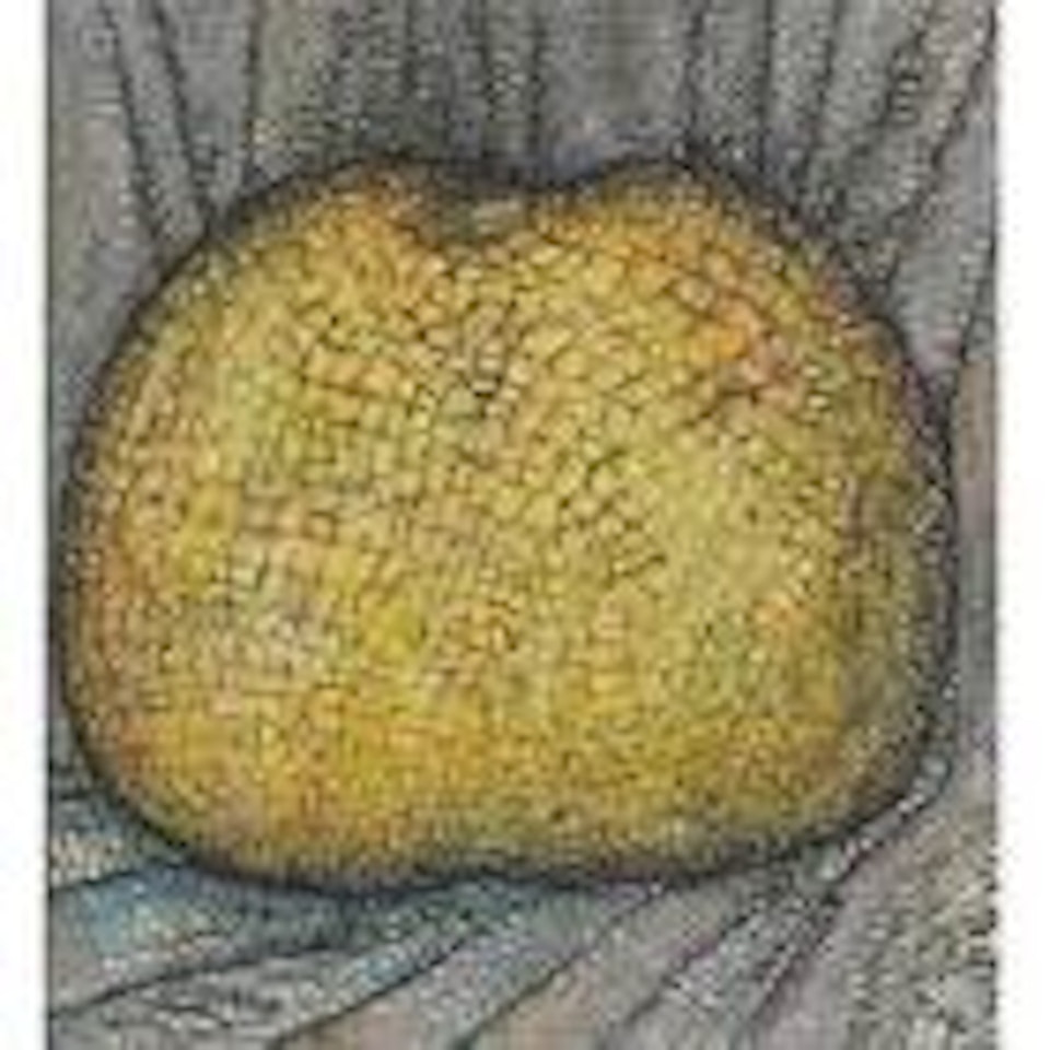 Fruit II by Jogen Chowdhury