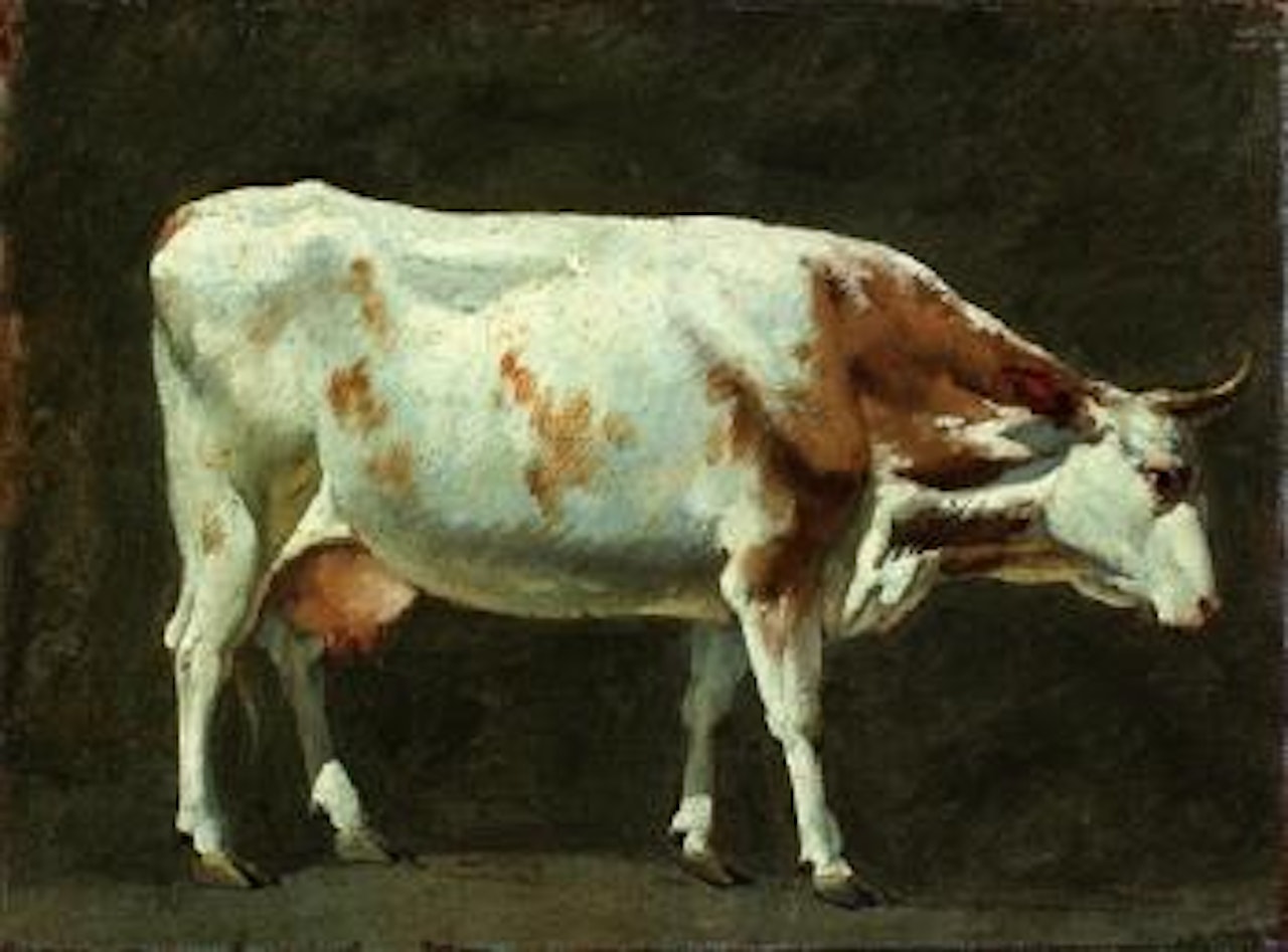 Etude de Vache by Simon Denis