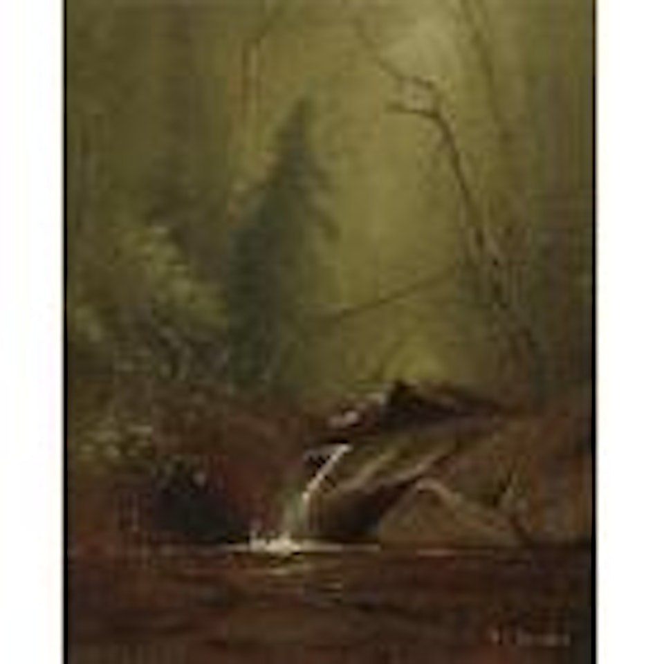 Falls near Shokan, New York by Alfred Thompson Bricher