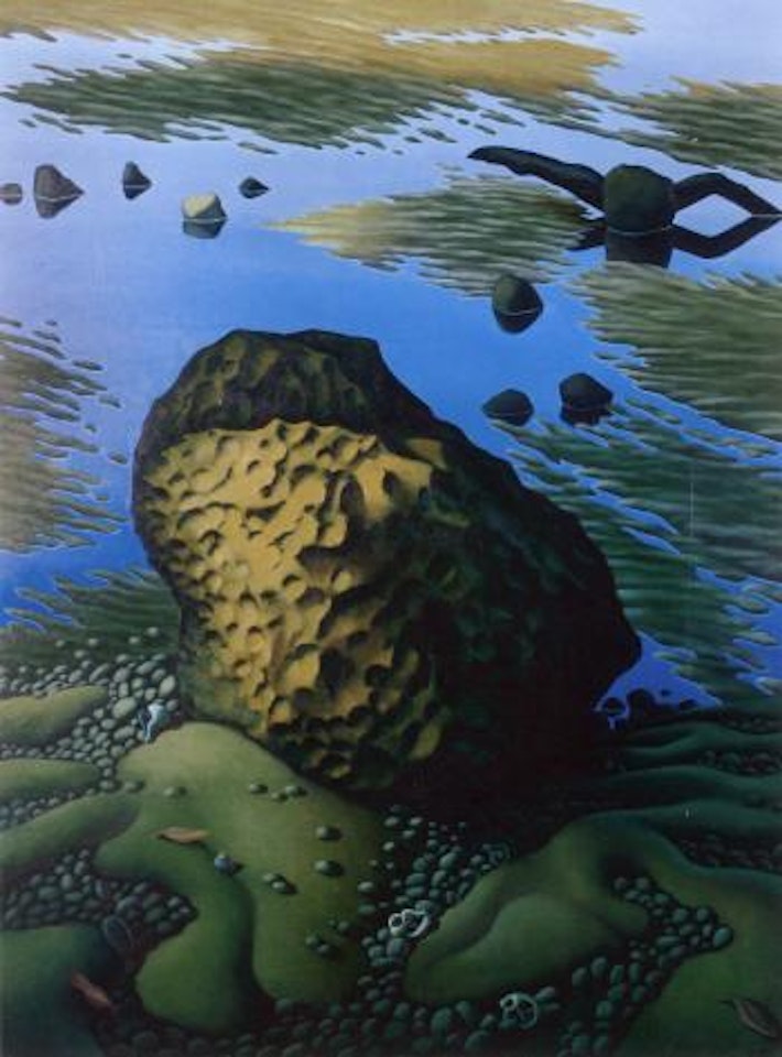 Rocks by Michael Smither