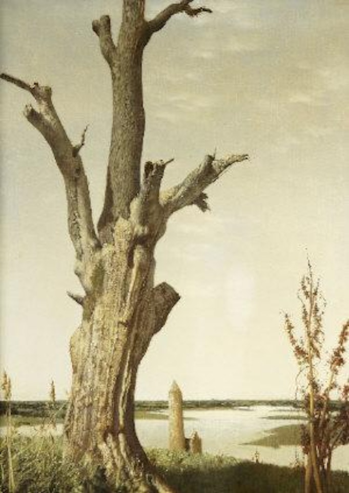 The old tree, Clonmacnoise by Patrick Hennessey
